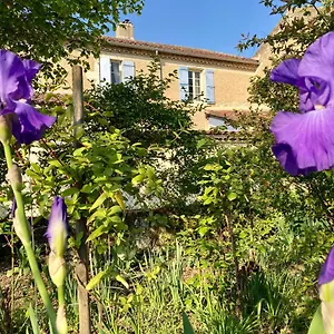 Bed & Breakfast Le Petit Cochon, Valence-sur-Baise
